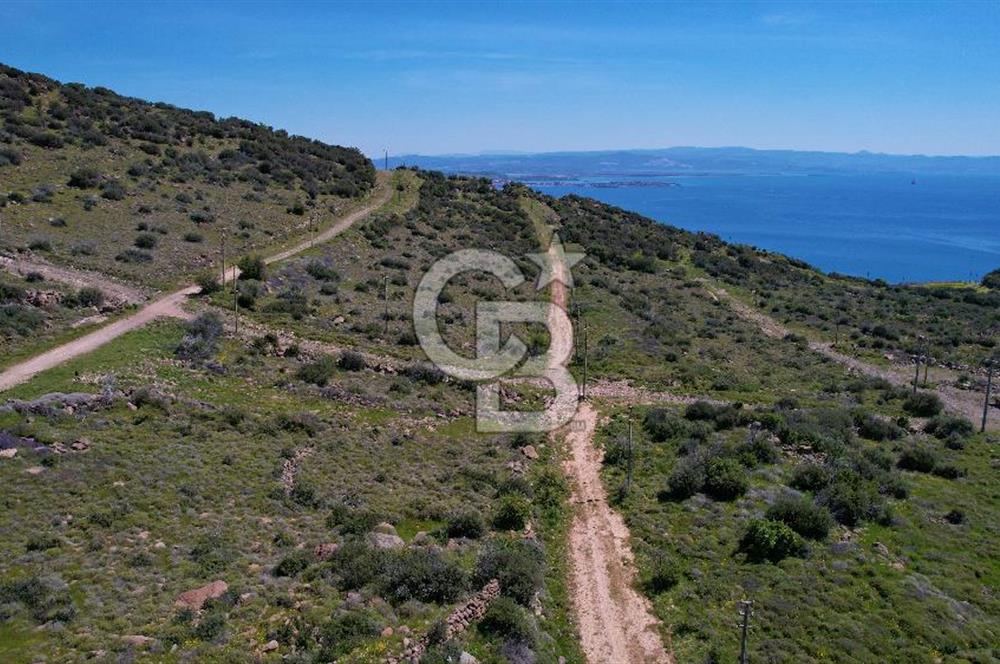 ÇANDARLI EYKO YATIRIMA UYGUN SATILIK ARSA