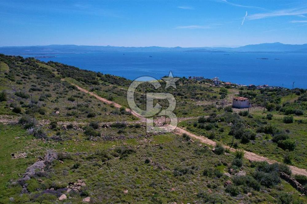 ÇANDARLI EYKO YATIRIMA UYGUN SATILIK ARSA