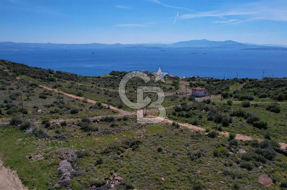 ÇANDARLI EYKO YATIRIMA UYGUN SATILIK ARSA