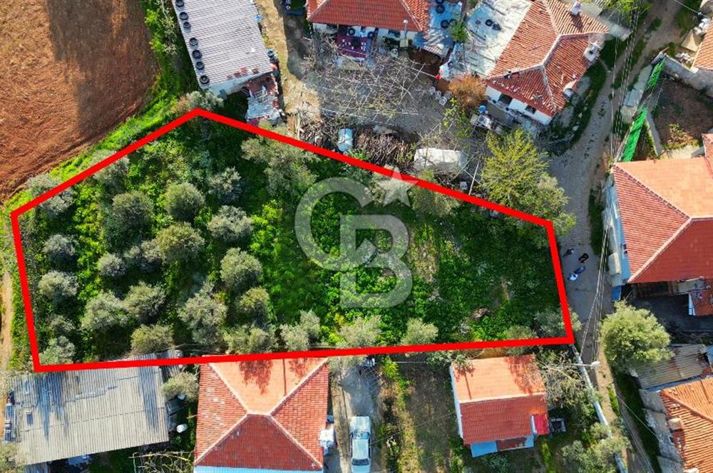 Muğla Menteşe Algı Mahallesi’nde 816 m² Konut İmarlı Satılık Arsa