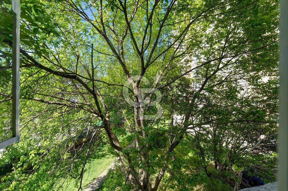 İstanbul’un İçinde Koru Keyfinde Eston Çamlı Evler Sitesi'nde 3+1 Satılık Daire!