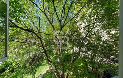 İstanbul’un İçinde Koru Keyfinde Eston Çamlı Evler Sitesi'nde 3+1 Satılık Daire!