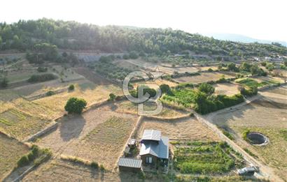 Muğla menteşe Denizova‘da satılık ahşap ev ve tarla