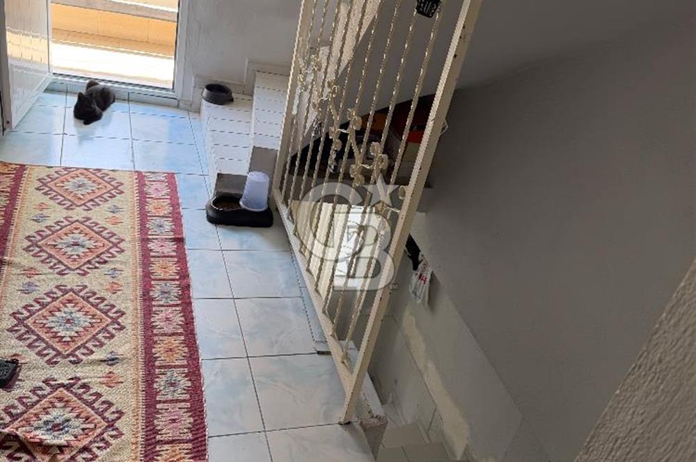 MUSELAND Bornova Çamdibinde 4+1 Kullanışlı Müstakil Ev