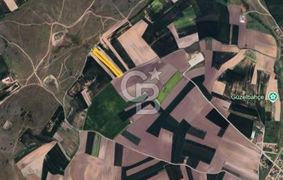 Tekirdağ Ergene Yulaflıda 5.720 m² Mera Arkası Fırsat Arazi