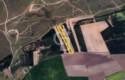 Tekirdağ Ergene Yulaflıda 5.720 m² Mera Arkası Fırsat Arazi
