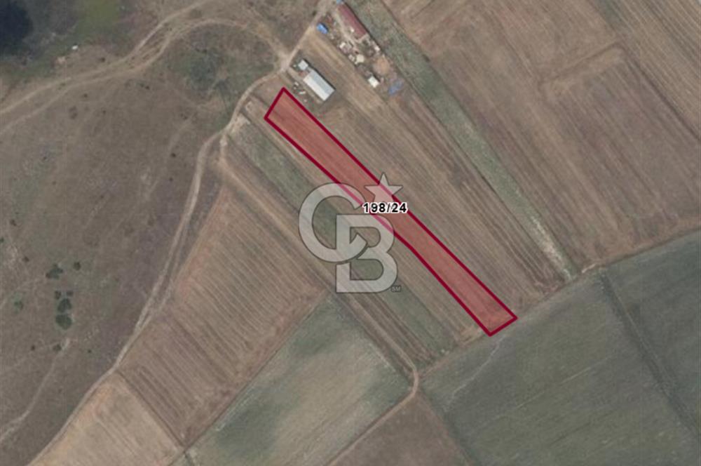 Tekirdağ Ergene Yulaflıda 5.720 m² Mera Arkası Fırsat Arazi