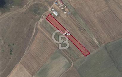 Tekirdağ Ergene Yulaflıda 5.720 m² Mera Arkası Fırsat Arazi