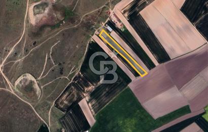 Tekirdağ Ergene Yulaflıda 5.720 m² Mera Arkası Fırsat Arazi