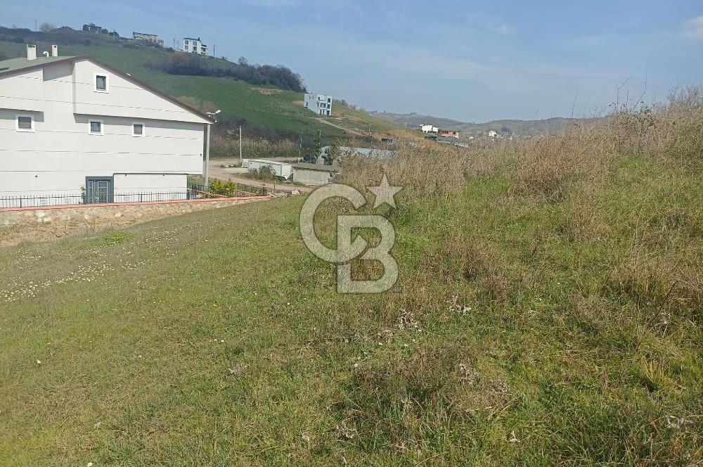 COLDWELL BANKER SAFİR'den YALOVA da VİLLA İMARLI SATILIK ARSA