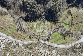 taşkesti merkezde yol kenarı tarla - 4 - 346089