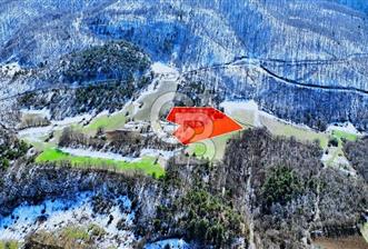 Taşkesti merkezde ormana cephe satılık tarla - 1 - 346092