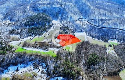 Taşkesti merkezde ormana cephe satılık tarla