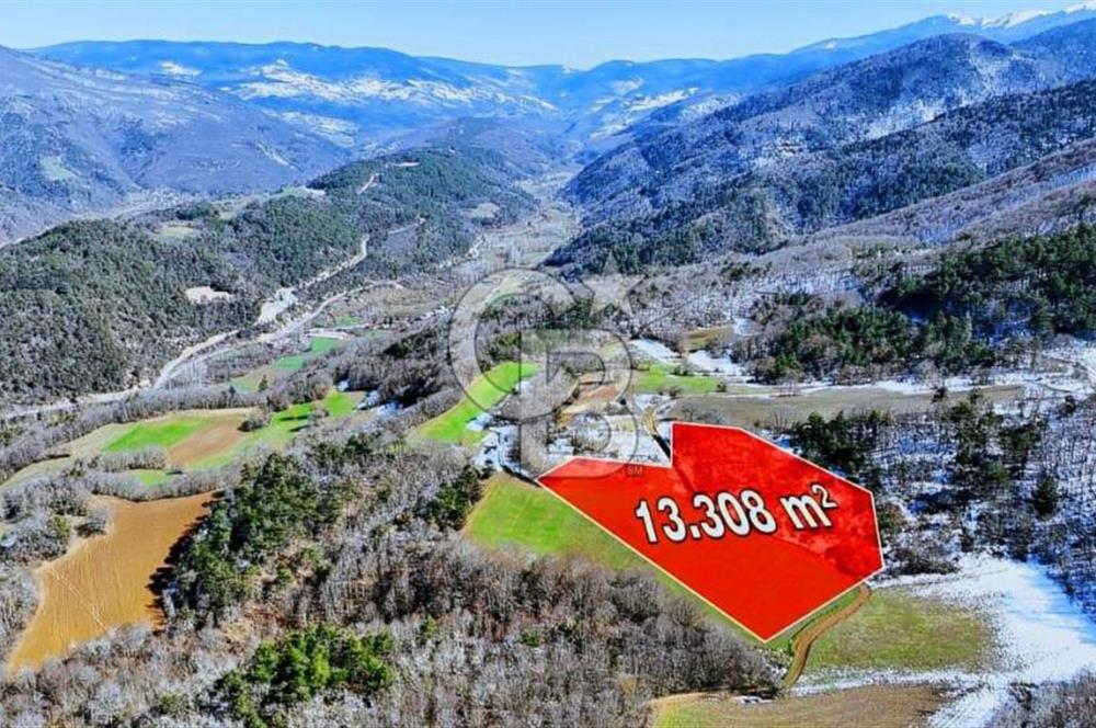 Taşkesti merkezde ormana cephe satılık tarla