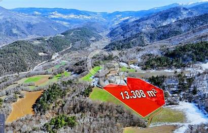 Taşkesti merkezde ormana cephe satılık tarla