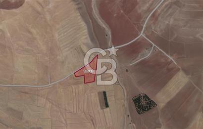 CB VİZYON GÖKHAN KORAL'DAN ASFALT YOLA CEPHE SATILIK TARLA