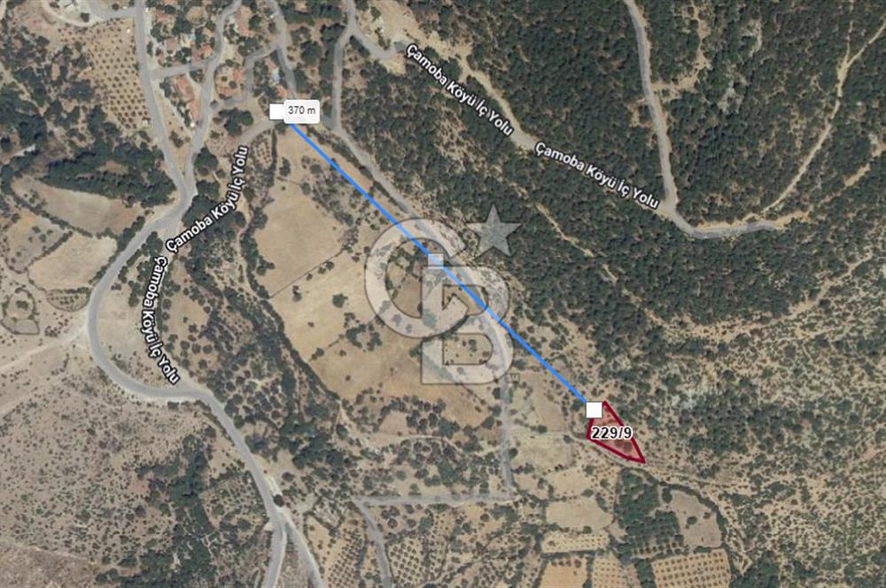 İZMİR BERGAMA ÇAMOBA KÖYÜNDE 1102 m² SATILIK TARLA