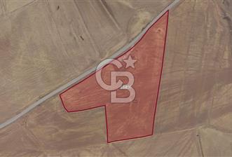 CB VİZYON GÖKHAN KORAL'DAN ASFALT YOLA CEPHE SATILIK TARLA - 10 - 346151