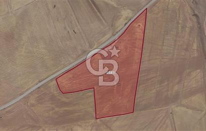 CB VİZYON GÖKHAN KORAL'DAN ASFALT YOLA CEPHE SATILIK TARLA