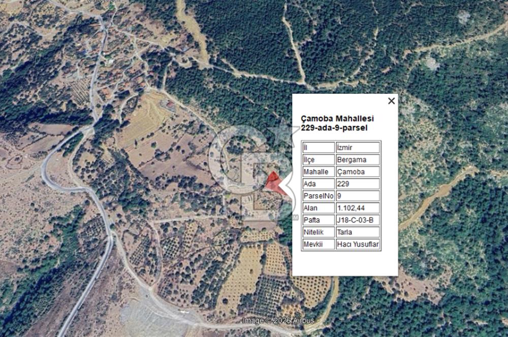 İZMİR BERGAMA ÇAMOBA KÖYÜNDE 1102 m² SATILIK TARLA