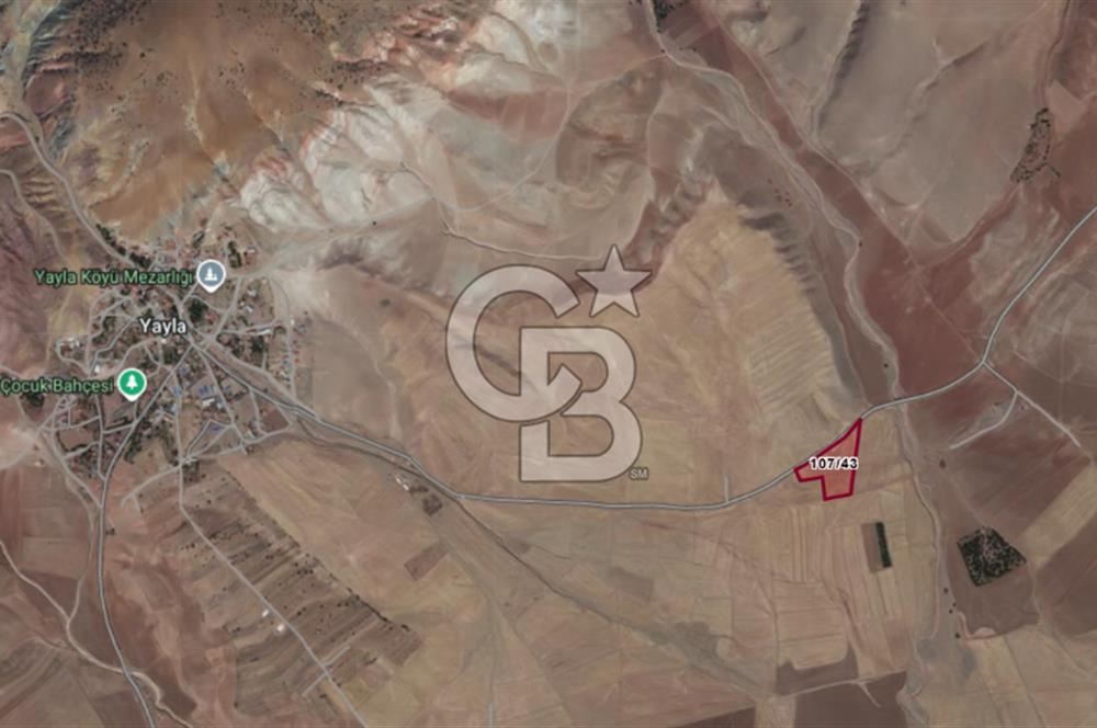 CB VİZYON GÖKHAN KORAL'DAN ASFALT YOLA CEPHE SATILIK TARLA