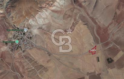 CB VİZYON GÖKHAN KORAL'DAN ASFALT YOLA CEPHE SATILIK TARLA