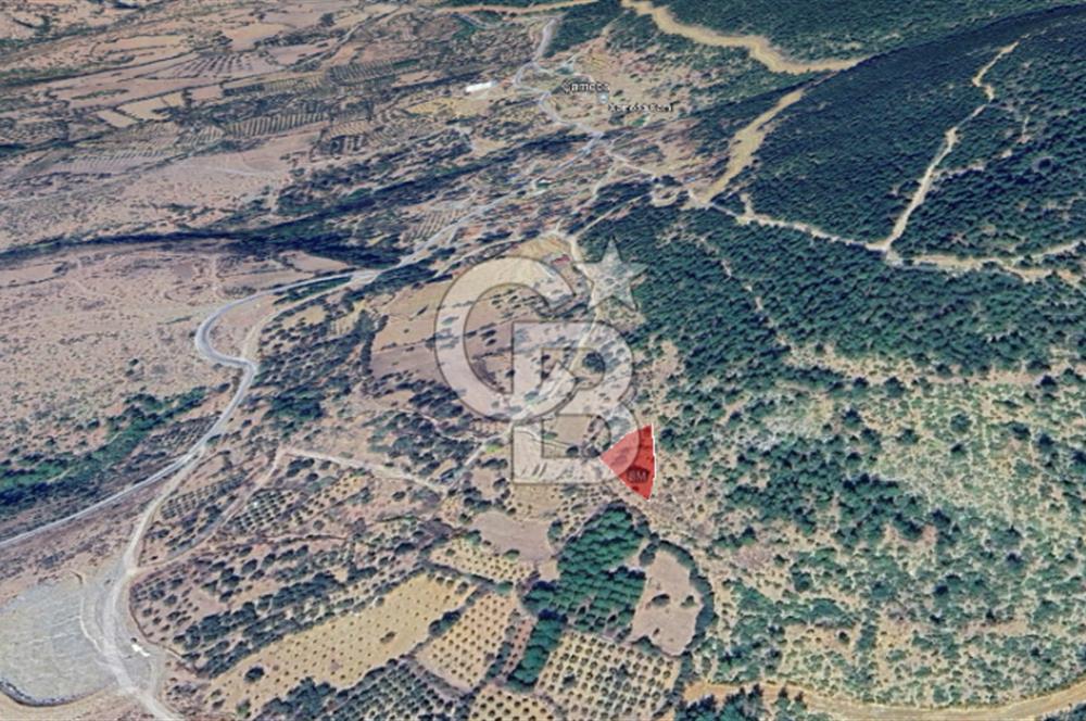 İZMİR BERGAMA ÇAMOBA KÖYÜNDE 1102 m² SATILIK TARLA