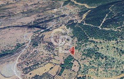 İZMİR BERGAMA ÇAMOBA KÖYÜNDE 1102 m² SATILIK TARLA