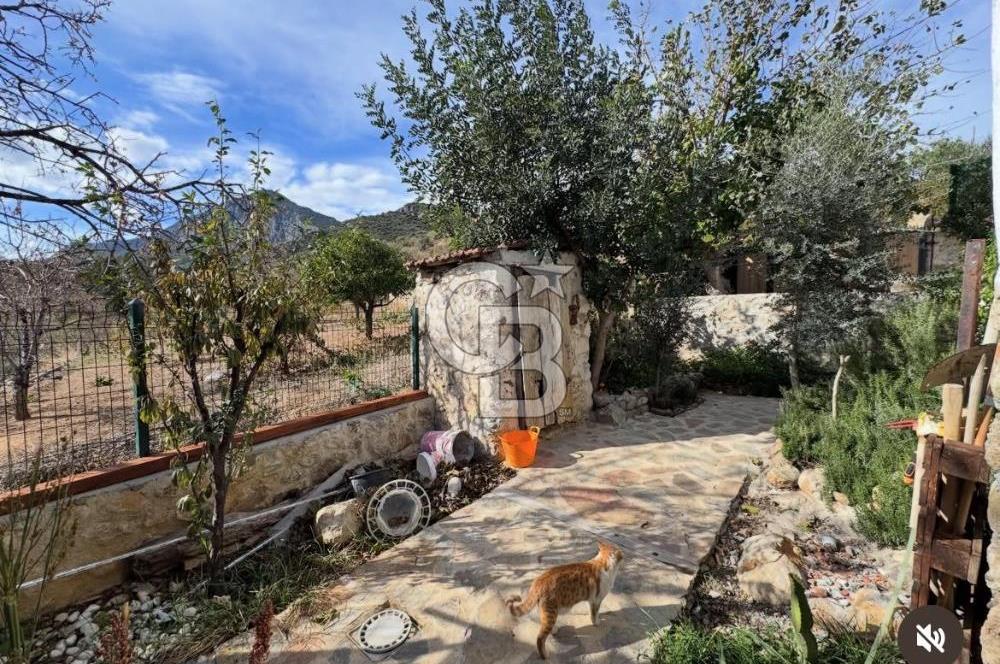 DATÇA KARAKÖY'DE RESTORE TAŞ EV | 290m² ARSA |FERİBOTA 8 DK