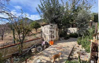 DATÇA KARAKÖY'DE RESTORE TAŞ EV | 290m² ARSA |FERİBOTA 8 DK