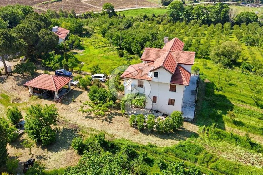 Yalova, Karadere Köyünde Meyve Bahçeli, Müstakil Konutlu Arsa