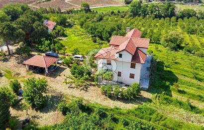 Yalova, Karadere Köyünde Meyve Bahçeli, Müstakil Konutlu Arsa