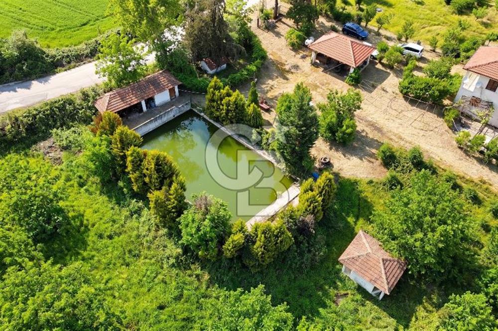 Yalova, Karadere Köyünde Meyve Bahçeli, Müstakil Konutlu Arsa