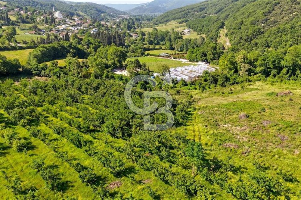 Yalova, Karadere Köyünde Meyve Bahçeli, Müstakil Konutlu Arsa