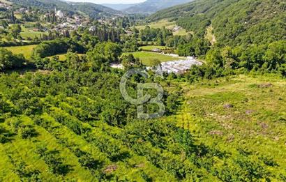 Yalova, Karadere Köyünde Meyve Bahçeli, Müstakil Konutlu Arsa