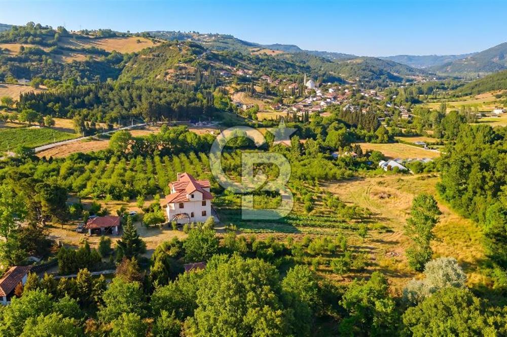 Yalova, Karadere Köyünde Meyve Bahçeli, Müstakil Konutlu Arsa