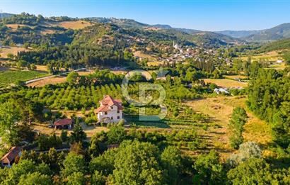 Yalova, Karadere Köyünde Meyve Bahçeli, Müstakil Konutlu Arsa