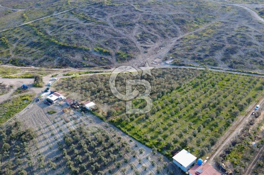 ALİAĞA BOZKÖY'DE SATILIK 4,397 M2 TARLA