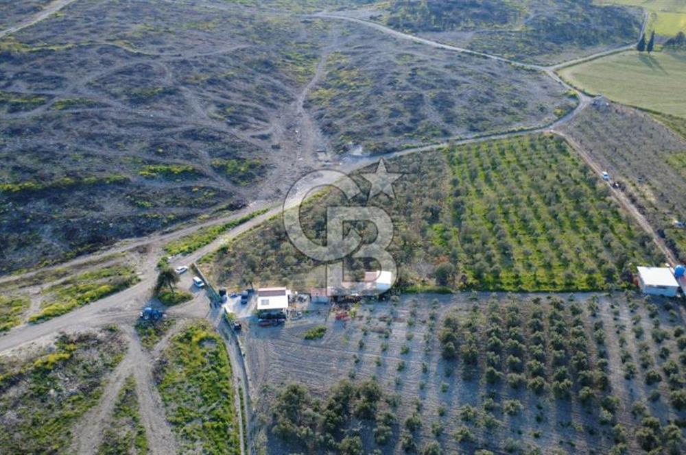 ALİAĞA BOZKÖY'DE SATILIK 4,397 M2 TARLA