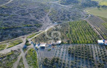 ALİAĞA BOZKÖY'DE SATILIK 4,397 M2 TARLA