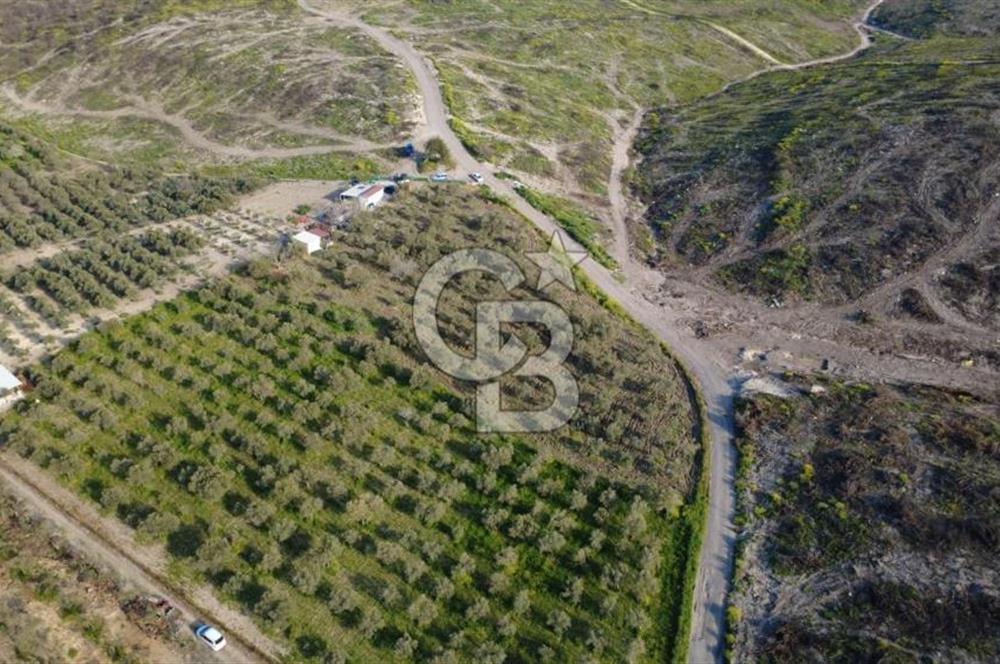 ALİAĞA BOZKÖY'DE SATILIK 4,397 M2 TARLA