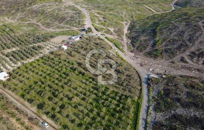 ALİAĞA BOZKÖY'DE SATILIK 4,397 M2 TARLA