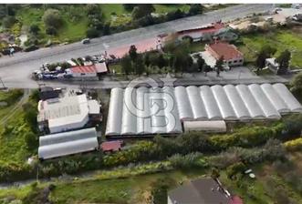 BADEMLER İZMİR-SEFERİHİSAR CADDESİ ÜZERİ KIYMETLİ ARAZİ - 3 - 340096