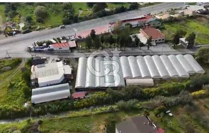 BADEMLER İZMİR-SEFERİHİSAR CADDESİ ÜZERİ KIYMETLİ ARAZİ
