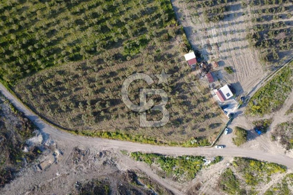 ALİAĞA BOZKÖY'DE SATILIK 4,397 M2 TARLA