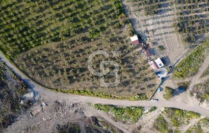 ALİAĞA BOZKÖY'DE SATILIK 4,397 M2 TARLA