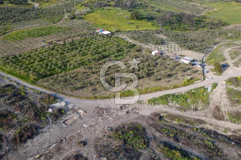 ALİAĞA BOZKÖY'DE SATILIK 4,397 M2 TARLA