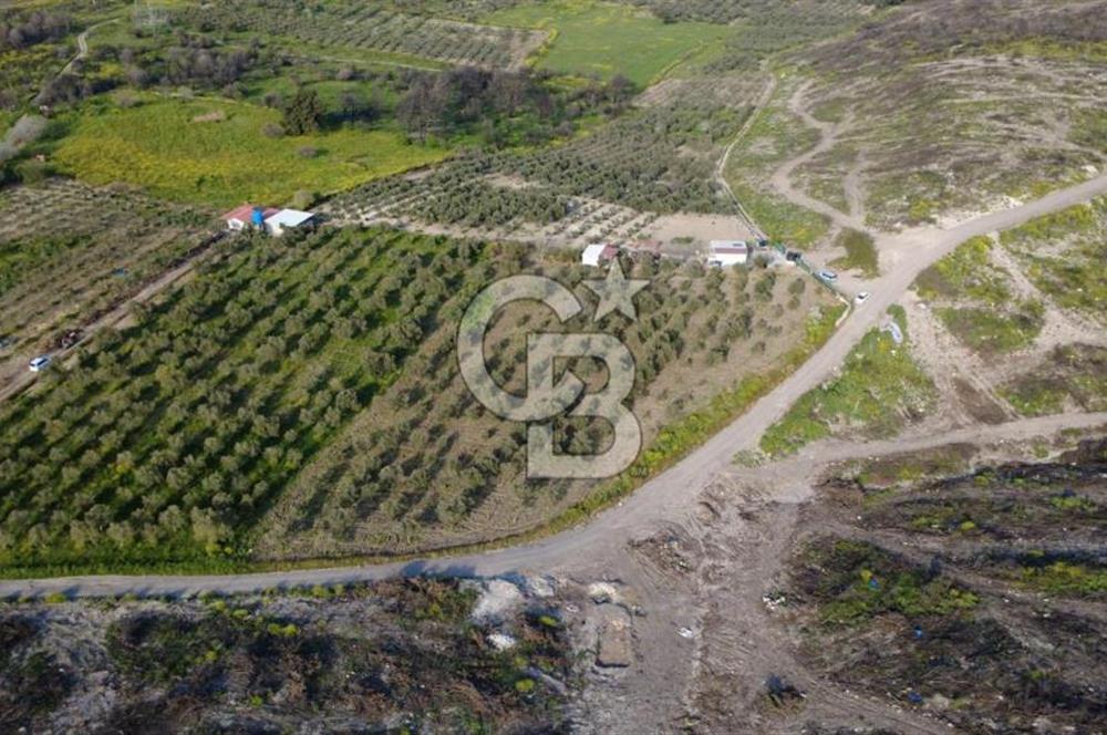 ALİAĞA BOZKÖY'DE SATILIK 4,397 M2 TARLA