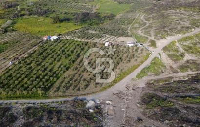 ALİAĞA BOZKÖY'DE SATILIK 4,397 M2 TARLA