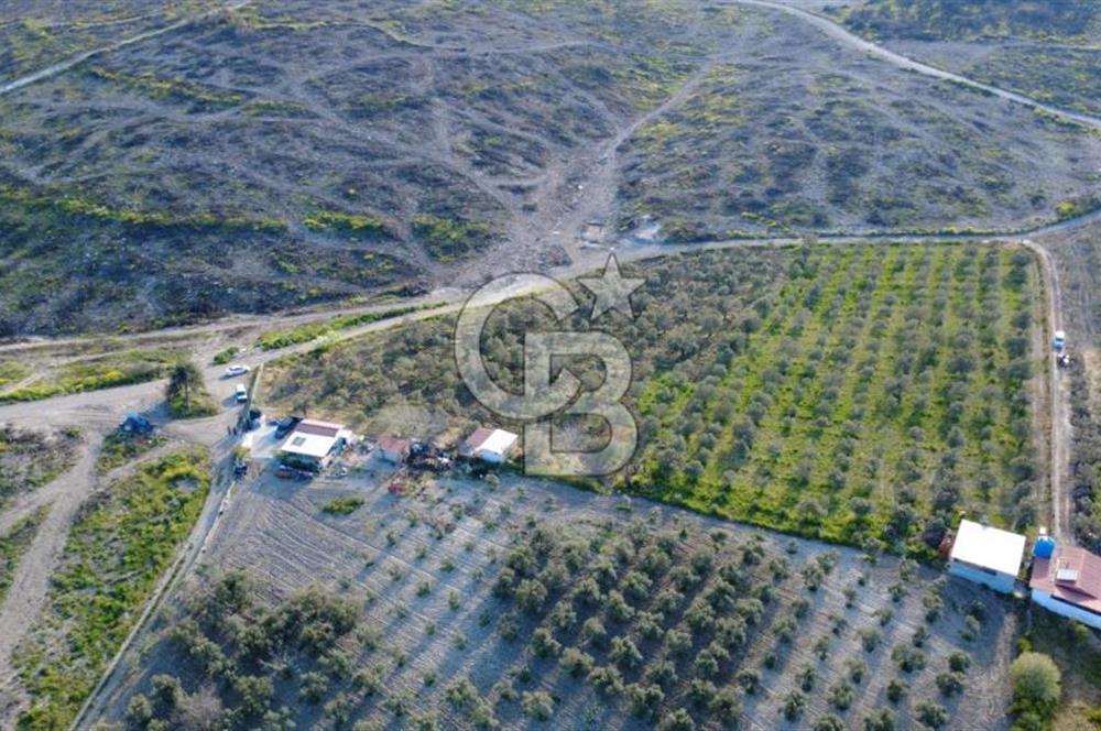 ALİAĞA BOZKÖY'DE SATILIK 4,397 M2 TARLA